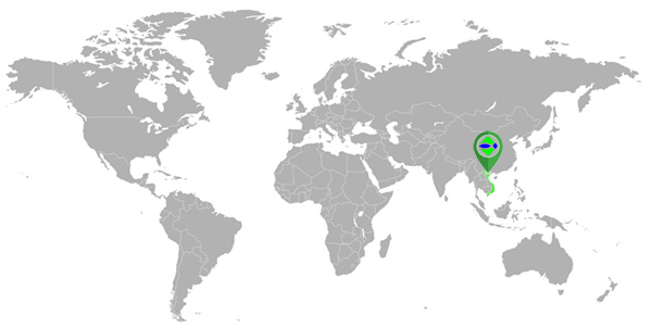 Về công ty